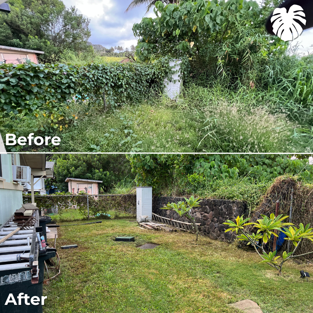 North Shore yard transformation 1