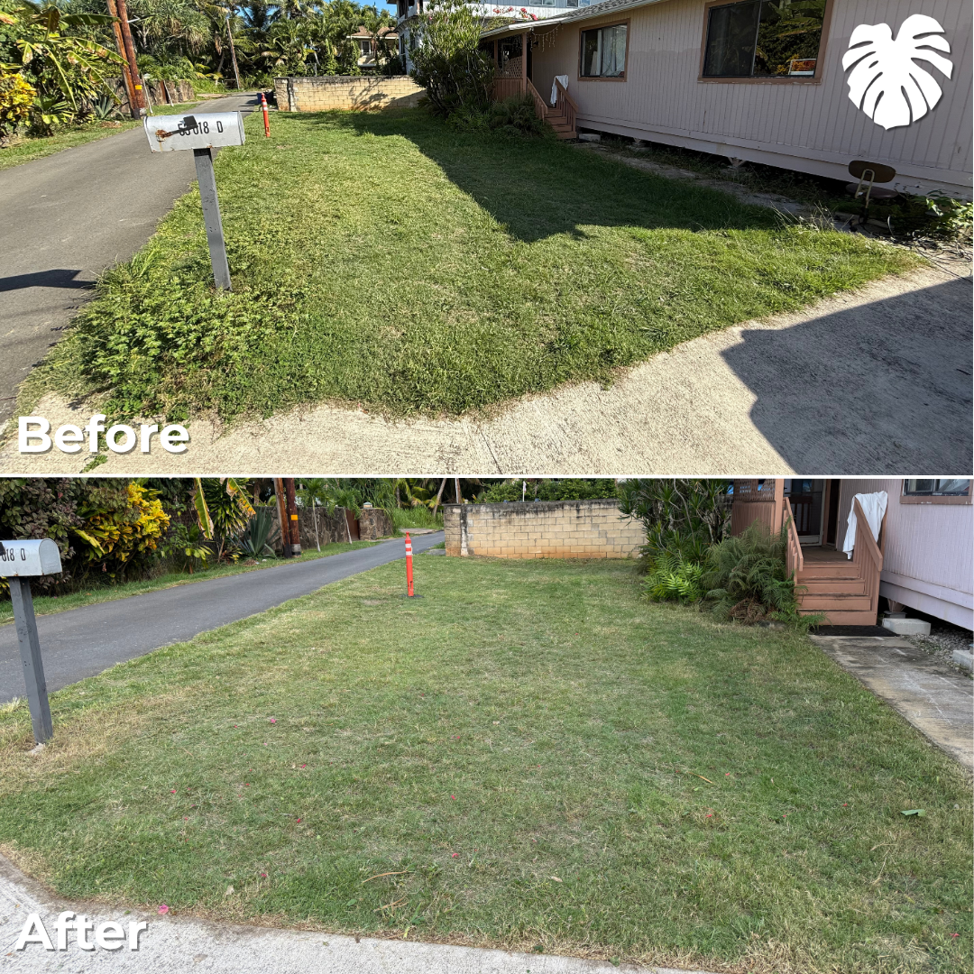 North Shore yard transformation 14