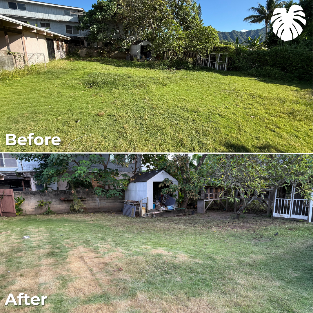 North Shore yard transformation 15