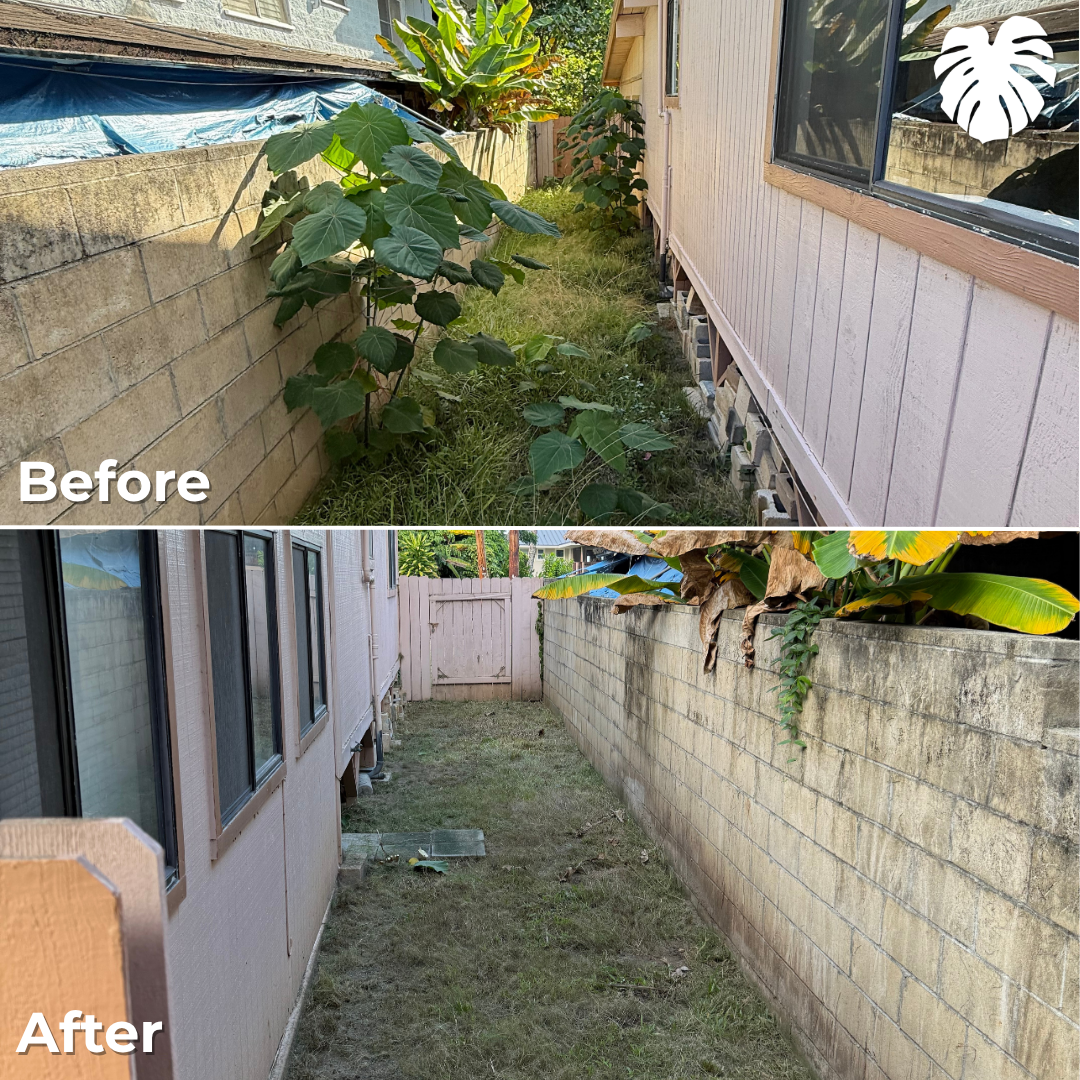 North Shore yard transformation 16