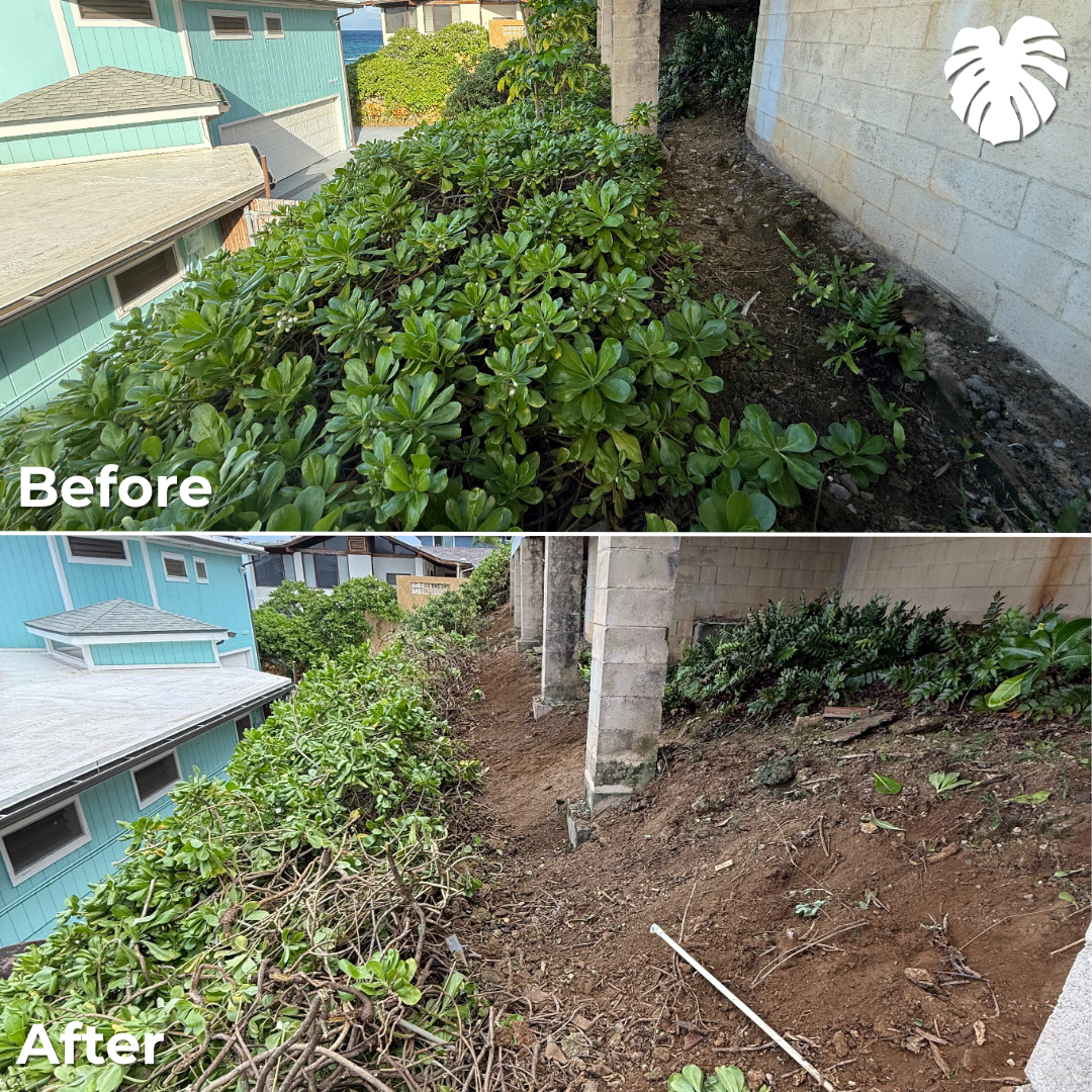 North Shore yard transformation 17