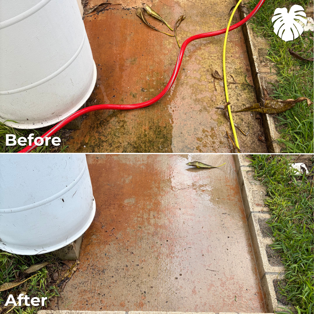 North Shore yard transformation 24