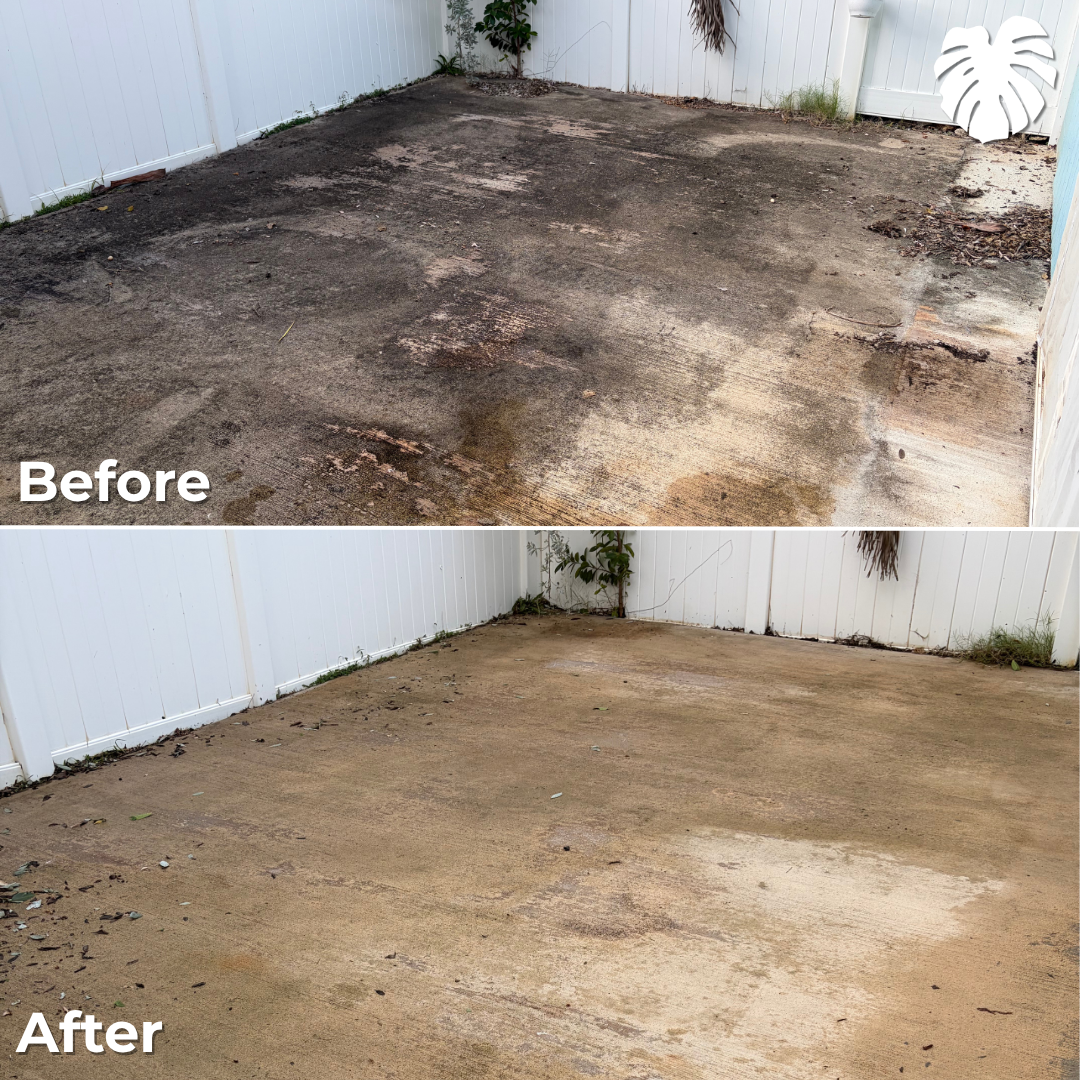 North Shore yard transformation 25