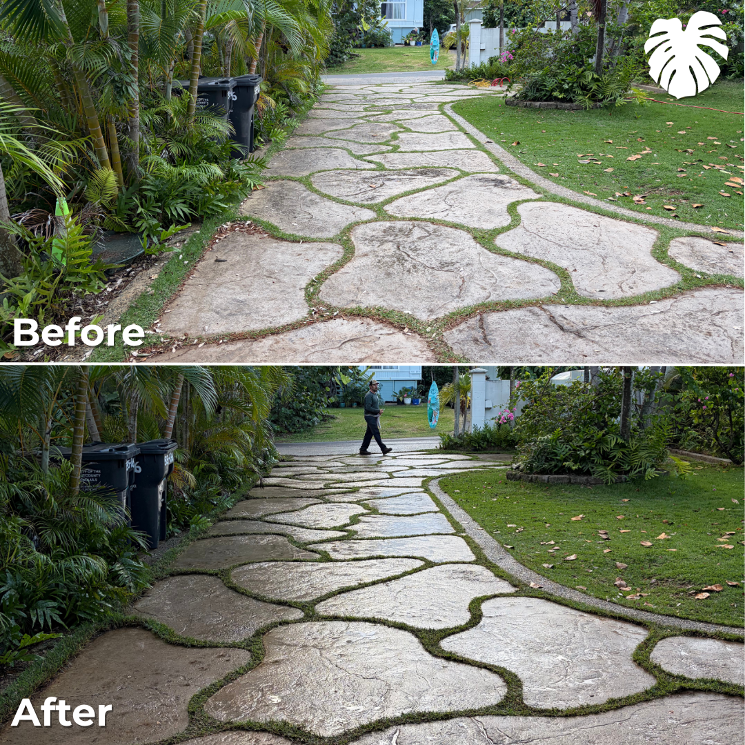 North Shore yard transformation 26